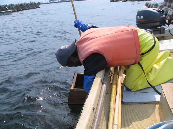 害敵の除去作業の様子