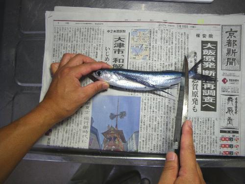 新聞をひいて汚れを防ぐ