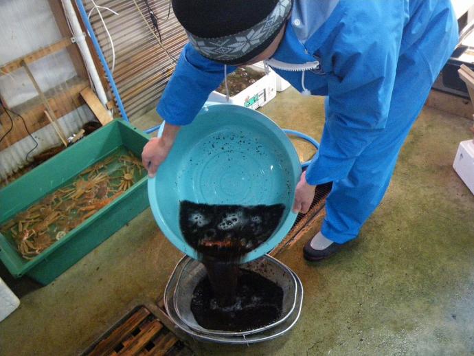 塩抜きと掃除の様子