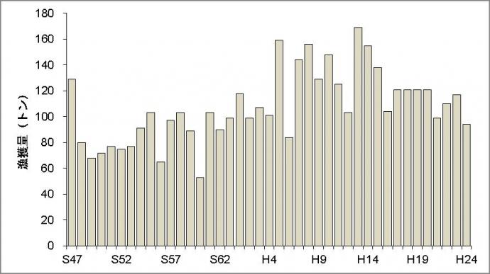 京都府のマダイ漁獲量の推移（農林水産統計）