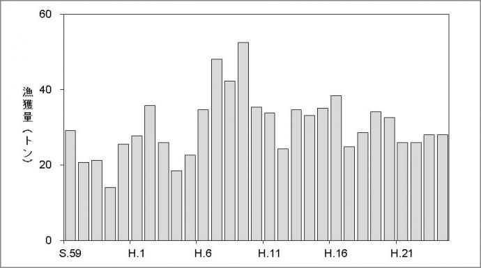 京都府のアマダイの漁獲量の推移（農林水産統計）