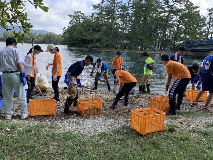 H30夏カキ殻回収の様子