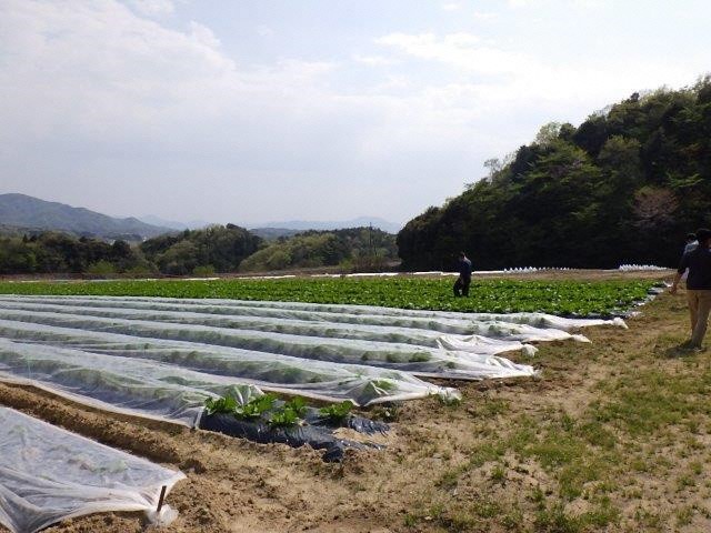 生産者とほ場を巡回