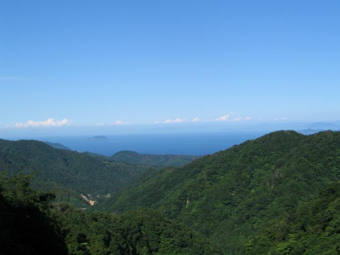 成相線の夏の山