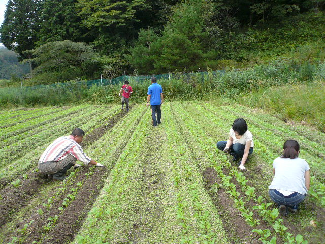 田舎暮らし