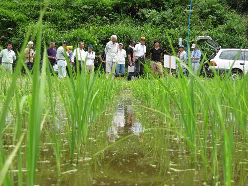 冬期湛水ほ場
