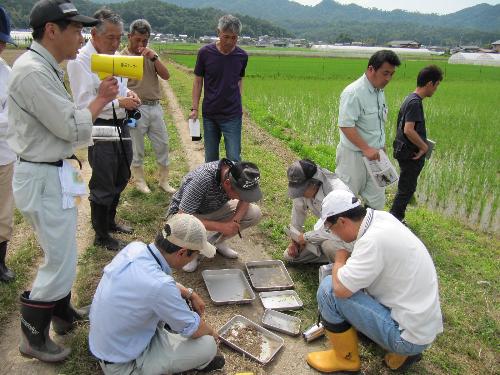 生き物調査の方法を紹介