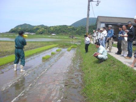 プール育苗を見学