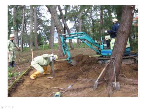 腐植土（ふしょくど）除去（じょきょ）の実験（じっけん）