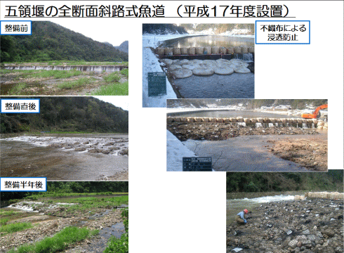 五領堰の全断面式魚道の施工前後