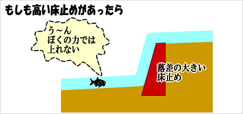 もしも落差の大きい床止めがあったら