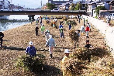 新大手橋下流でのクリーンアップの作業の様子