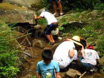 生き物調査中の児童たち3