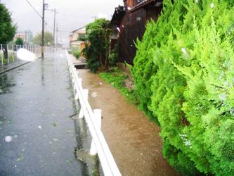 台風23号時の辻川の様子