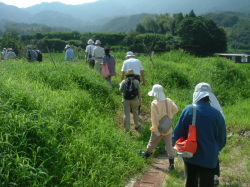 大手川探検隊の探索状況（その1）