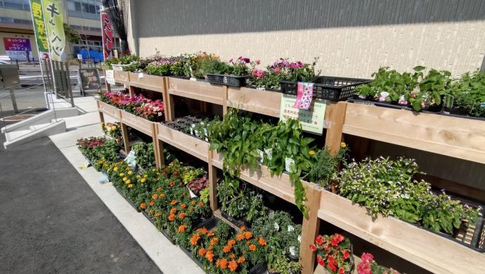 greenmarket2