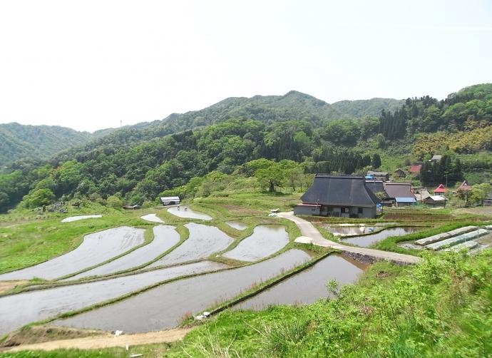 上世屋の里山