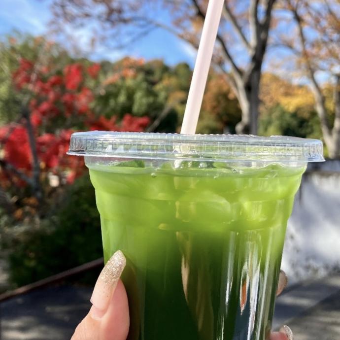 宇治茶の旭園