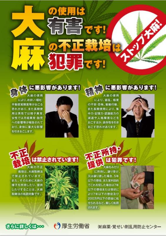 大麻に関する正しい知識